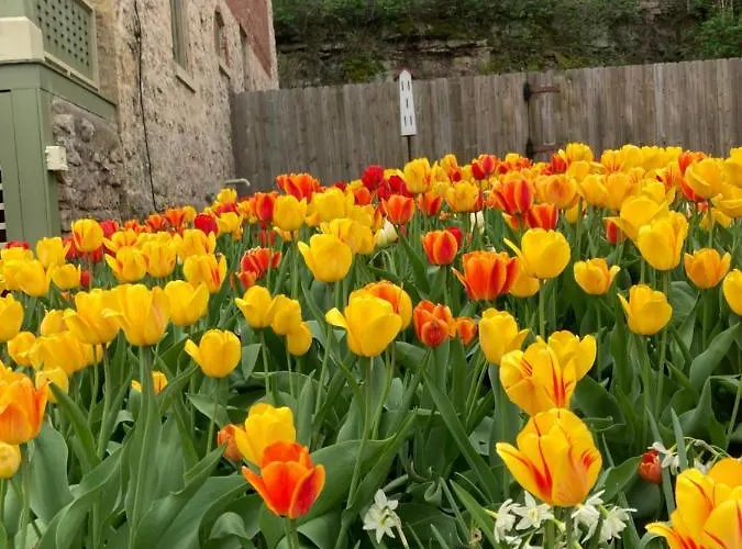 Abe's Spring Street