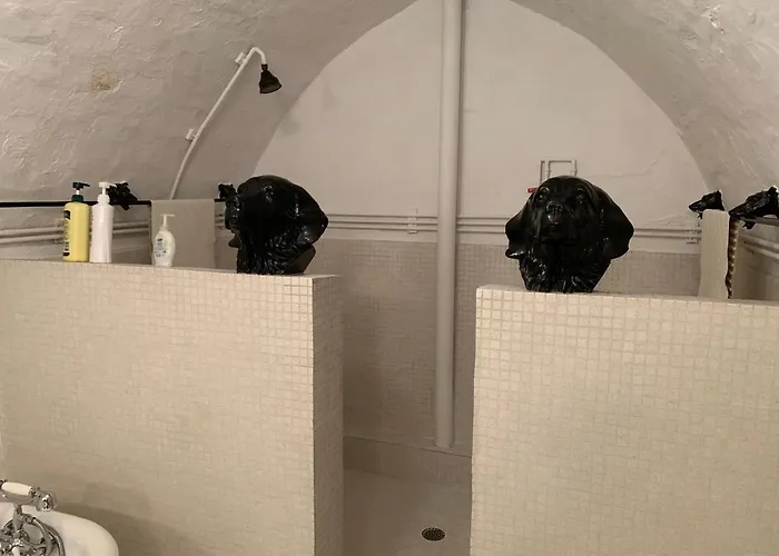 Abe's Spring Street 4* Galena